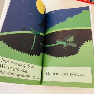 [Nhập Khẩu] I Am - Scholastic Reader + Audio