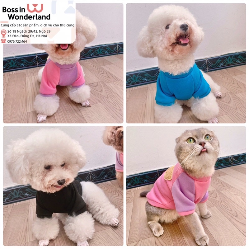 Áo nỉ bông gấu dài tay cho thú cưng