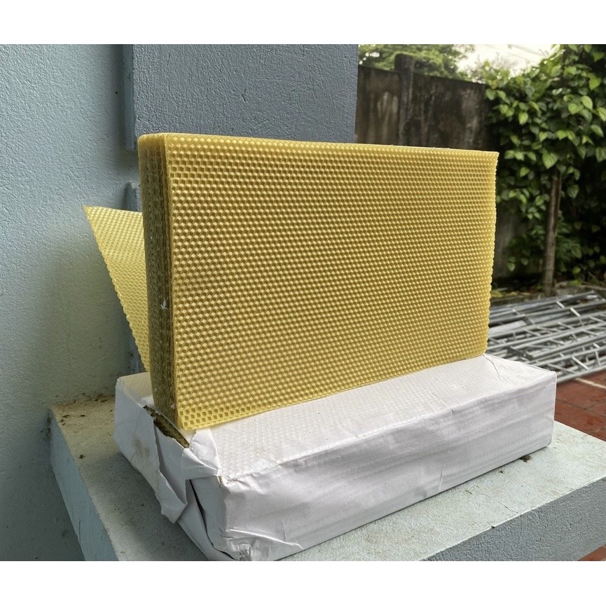 Chân tầng ong nội Trung Quốc  hộp 30 tấm cao cấp Đỗ Tuấn