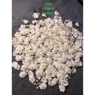 Hoa cúc cham trắng-hoa cúc gắn móng nail