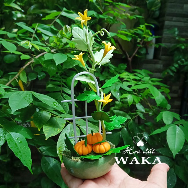 Hoa Đất Sét Mini- Bí đỏ