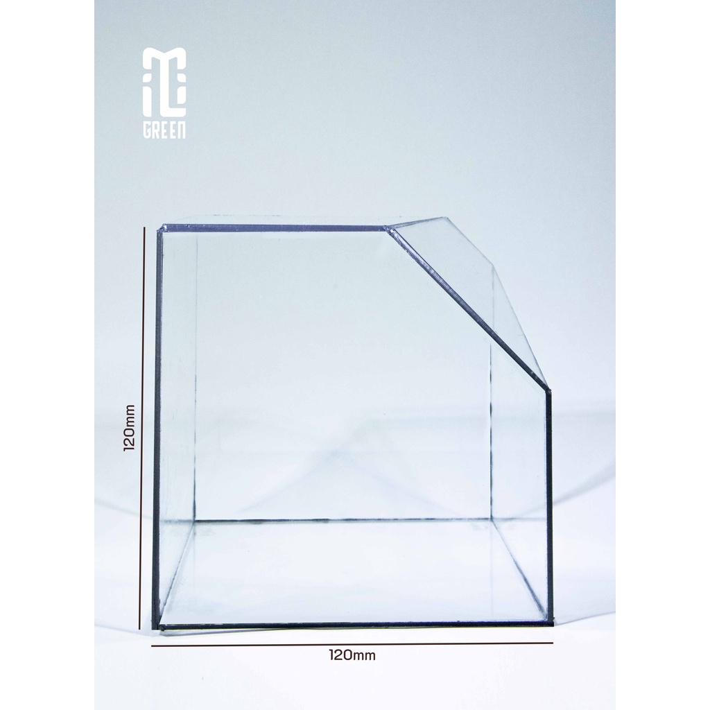 Bình kính Terrarium, Bể kính Terrarium, Bể kính, Trang trí Terrarium, Setup bàn làm việc