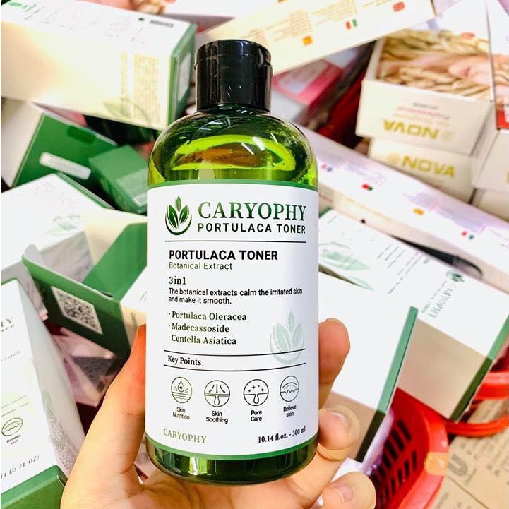 Caryophy Portulaca Toner (300ML) + Serum Caryophy Portulaca Ampoule (10ML)
