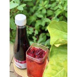 [CÓ XUẤT VAT] Nước cốt atiso đỏ 500ml pha soda, trà trái cây_VT00007