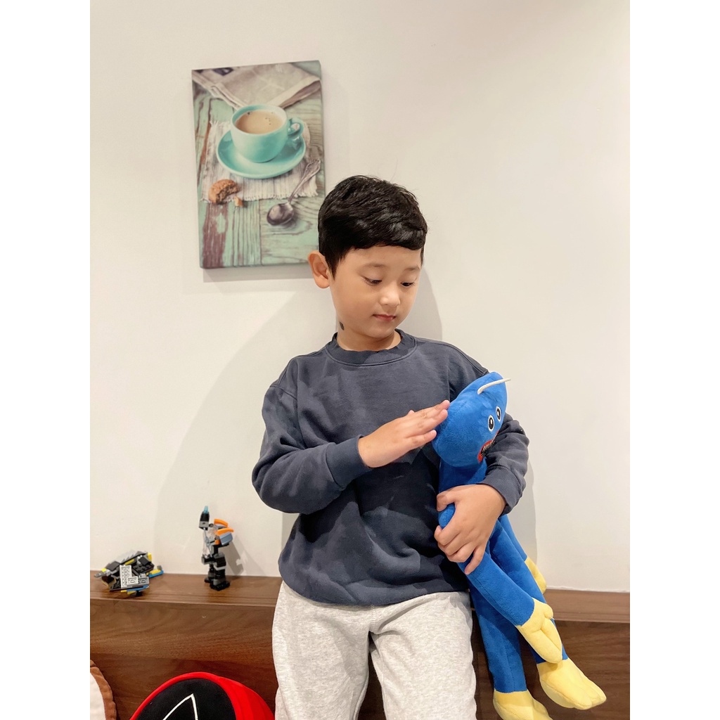 Áo dài tay bé trai chất da cá lót bông xuất dư xịn size đại Dragon Kids