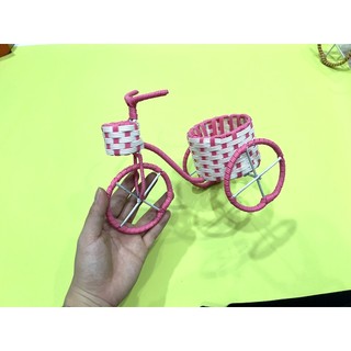 XE ĐẠP cute