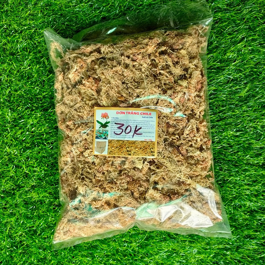 Rêu trắng ChiLe - Rêu sâu con nhỏ Giá thể giữ ẩm tuyệt vời cho phong lan, gói 100g