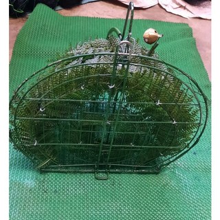 Lụp Quốc Thửa Mẫu Mới 2022
