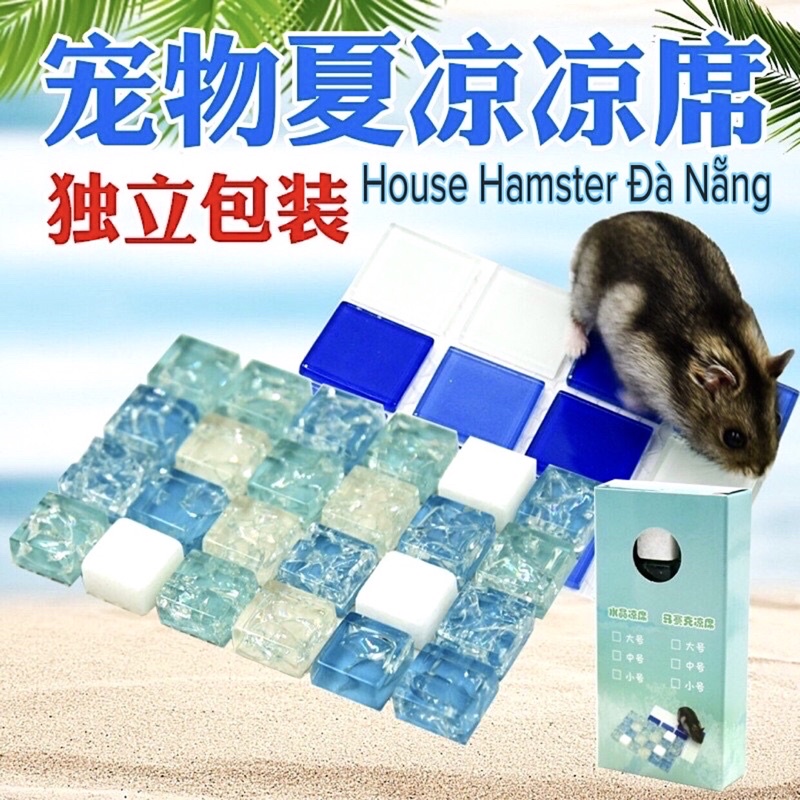 Đá tản nhiệt tránh sốc nhiệt cho bé hamster