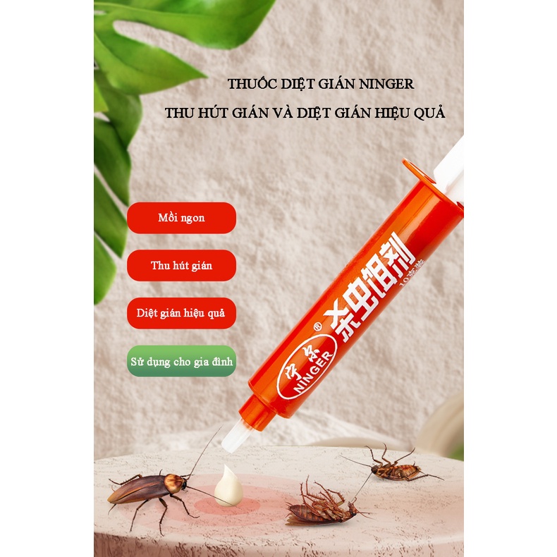 Thuốc diệt gián sinh học, mùi thơm thu hút gián hiệu quả, đánh bay gián hôi hám
