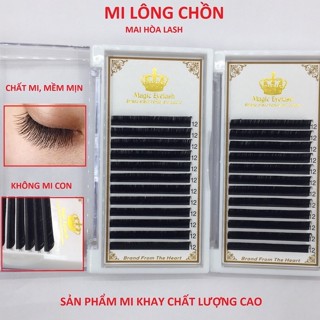 MI KHAY lông chồn Magic  dày 0.07 - dụng cụ nối mi - Mai Hòa Lash