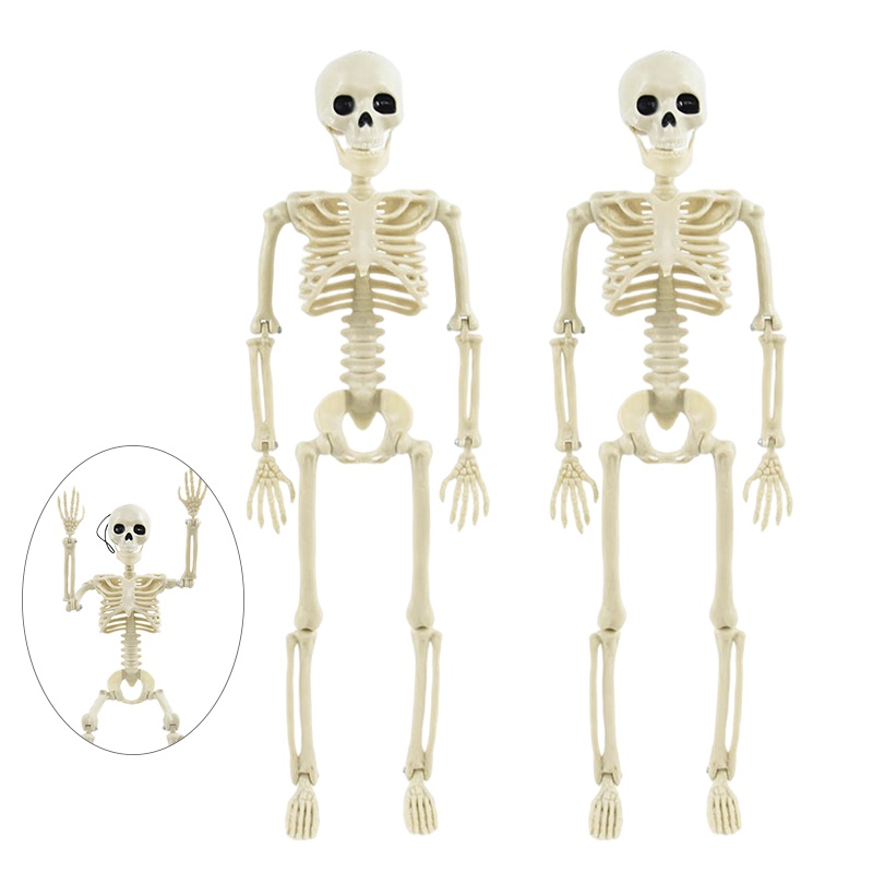 Mô Hình Bộ Xương Người Bằng Nhựa Tăng Chiều Cao 40cm Trang Trí Halloween