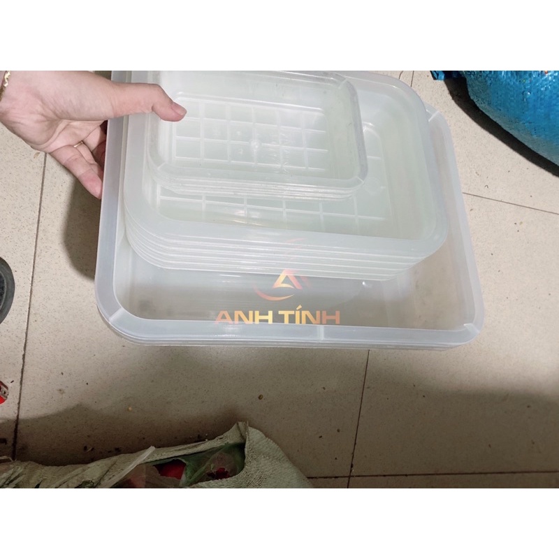 Thau nhựa  tắm  chim