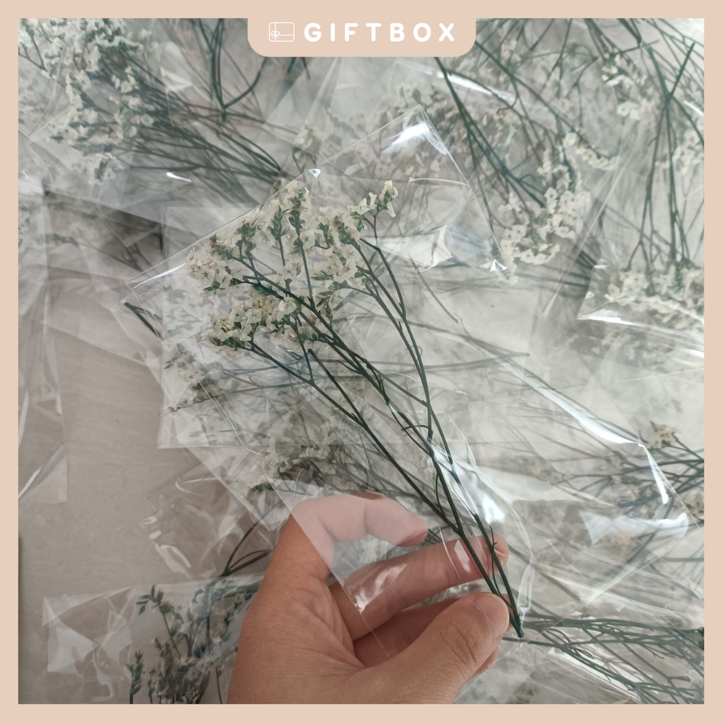 Hoa khô trang trí nhánh hoa baby khô dùng trang trí thiệp sinh nhật thiệp chúc mừng quà tặng handmade