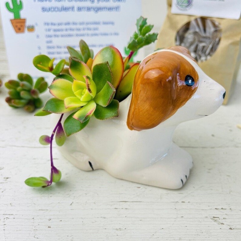 Nến thơm hình thù các con vật