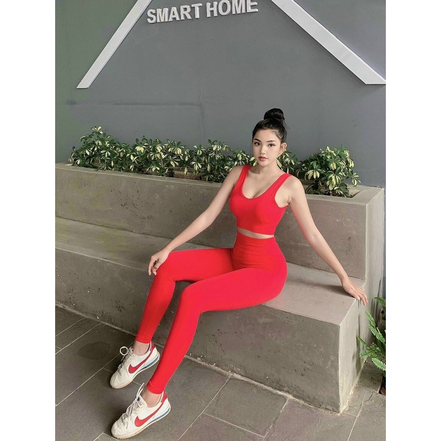 Đồ tập gym yoga thể thao nữ, set bộ dệt kim áo bra kèm mút quần dài lưng cao ôm mông gen bụng Bin Sport BD184
