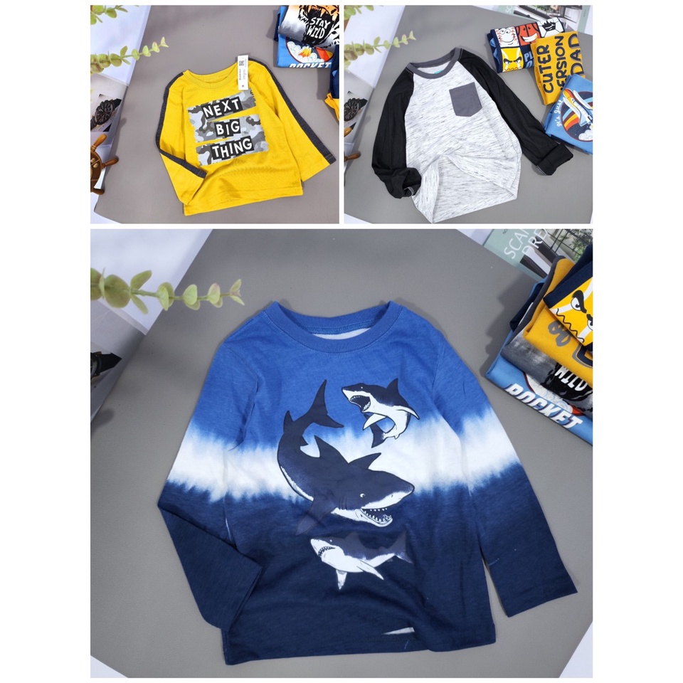 Áo dài tay bé trai hàng Cambodia các hãng Place, Garanimals hàng xuất dư xịn, hình in đẹp xuất sắc, size 12m-5T
