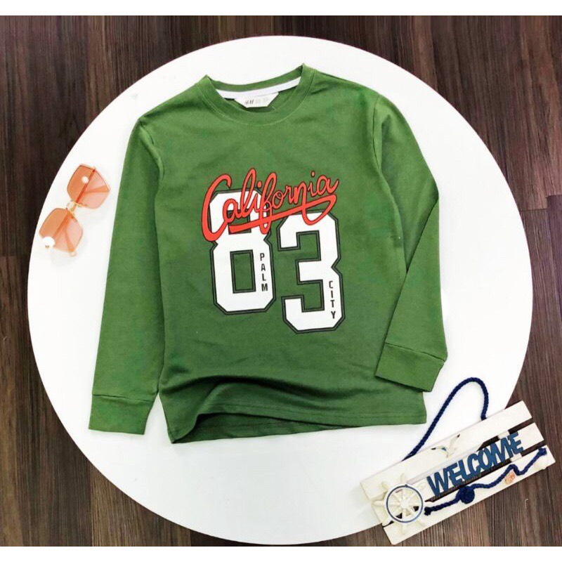 Áo nỉ da cá bé trai size đại thu đông xuất dư HM chất mịn đẹp sz 25 - 59kg