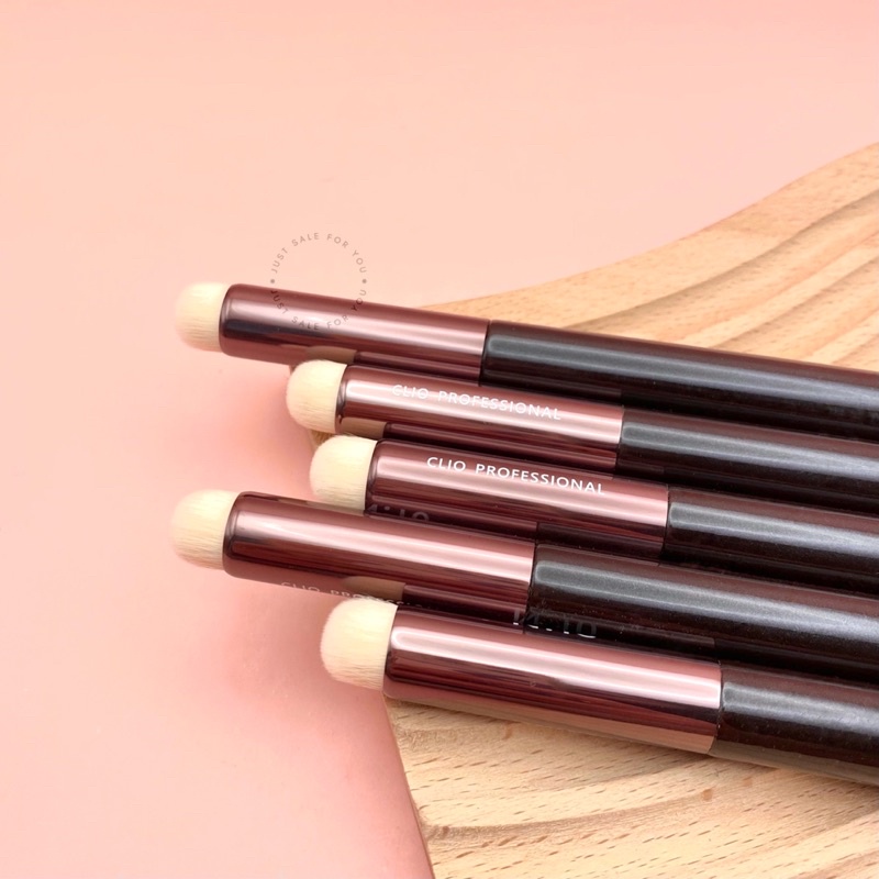 Cọ Môi/ che khuyết điểm môi Clio Professional (LOẠI TỐT NHẤT)