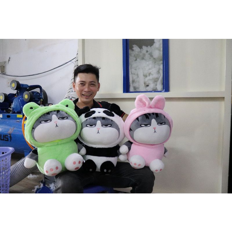 Gấu bông mèo hoàng thượng cosplay ếch, gấu bông mèo ếch, mèo thỏ