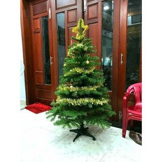 [Freeship HCM] Cây Thông Noel Cao 2M Tặng Kèm 4 Dây Kim Tuyến Và 1 Ngôi Sao Kim Tuyến