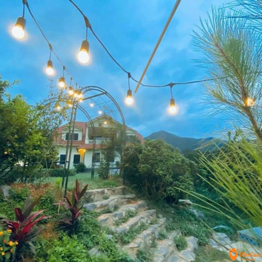 Dây Đèn Led Trang Trí Ngoài Trời Chống Nước Dây E27 Trang Trí Sân Vườn Quấn Cây Bóng Đa Sắc Màu 1W 3W, Vinsun