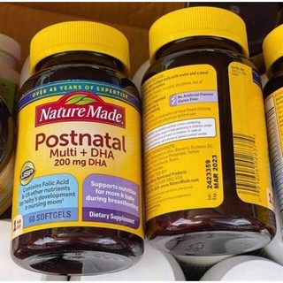 Nature made viên uống cho phụ nữ sau sinh postnatal multi dha 200mg 60 viên