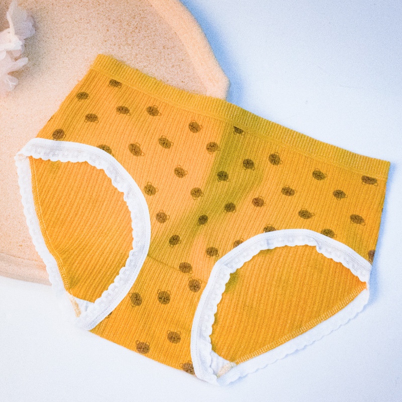 Quần Lót Nữ Cotton Viền Ren Họa Tiết Gấu Vàng - Subo Shop