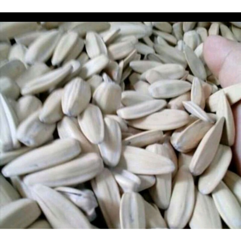 500g Hướng Dương Trắng Mặn Ngọt Thơm Ngon