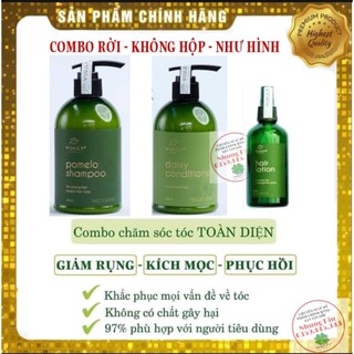 ComBo Bộ Dầu Gội và Kem Xả Bưởi và Tinh dầu bưởi Vi Jully Cao Cấp