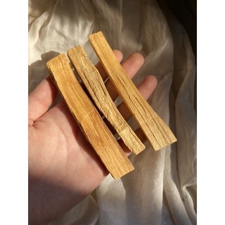 Palo Santo (Gỗ trắc xanh)