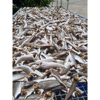 KHÔ CÁ LÙ ĐÙ (500gram)