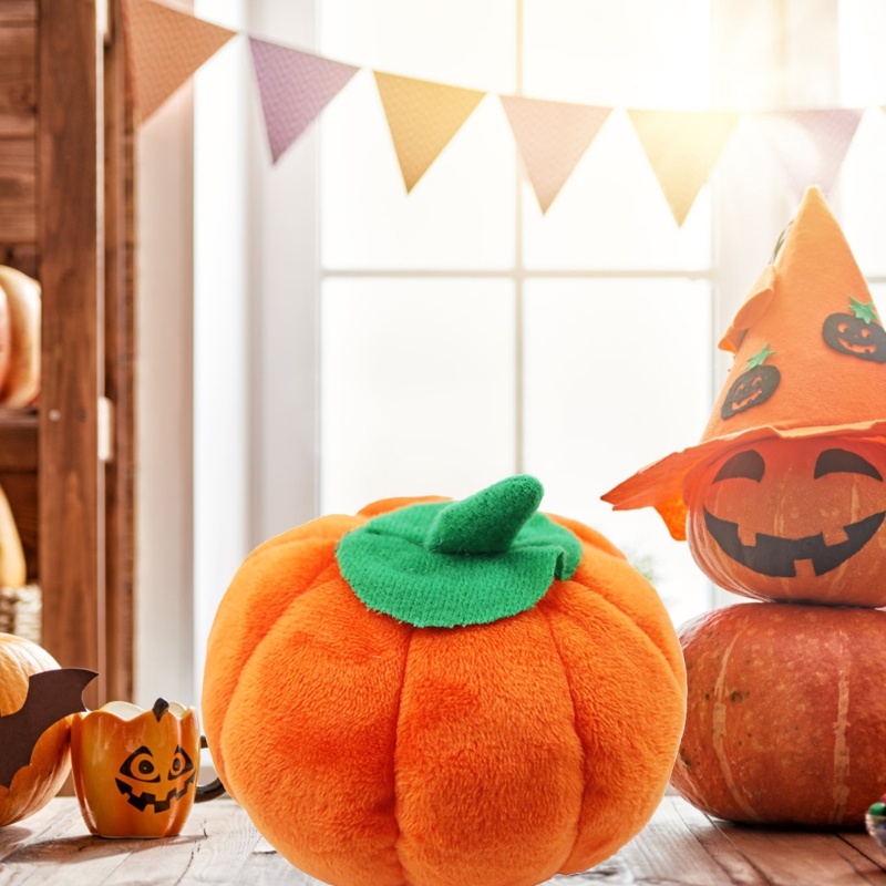 Đồ Chơi Nhồi Bông Hình Quả Bí Ngô Mềm Mại Chống Nhai Dễ Thương Kích Thước Nhỏ Và Vừa Cho Cún Cưng