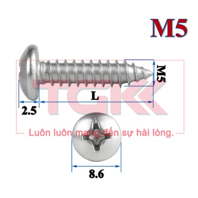 Vít bắt gỗ inox 201 chỏm cầu nhỏ M5 (Túi 10)