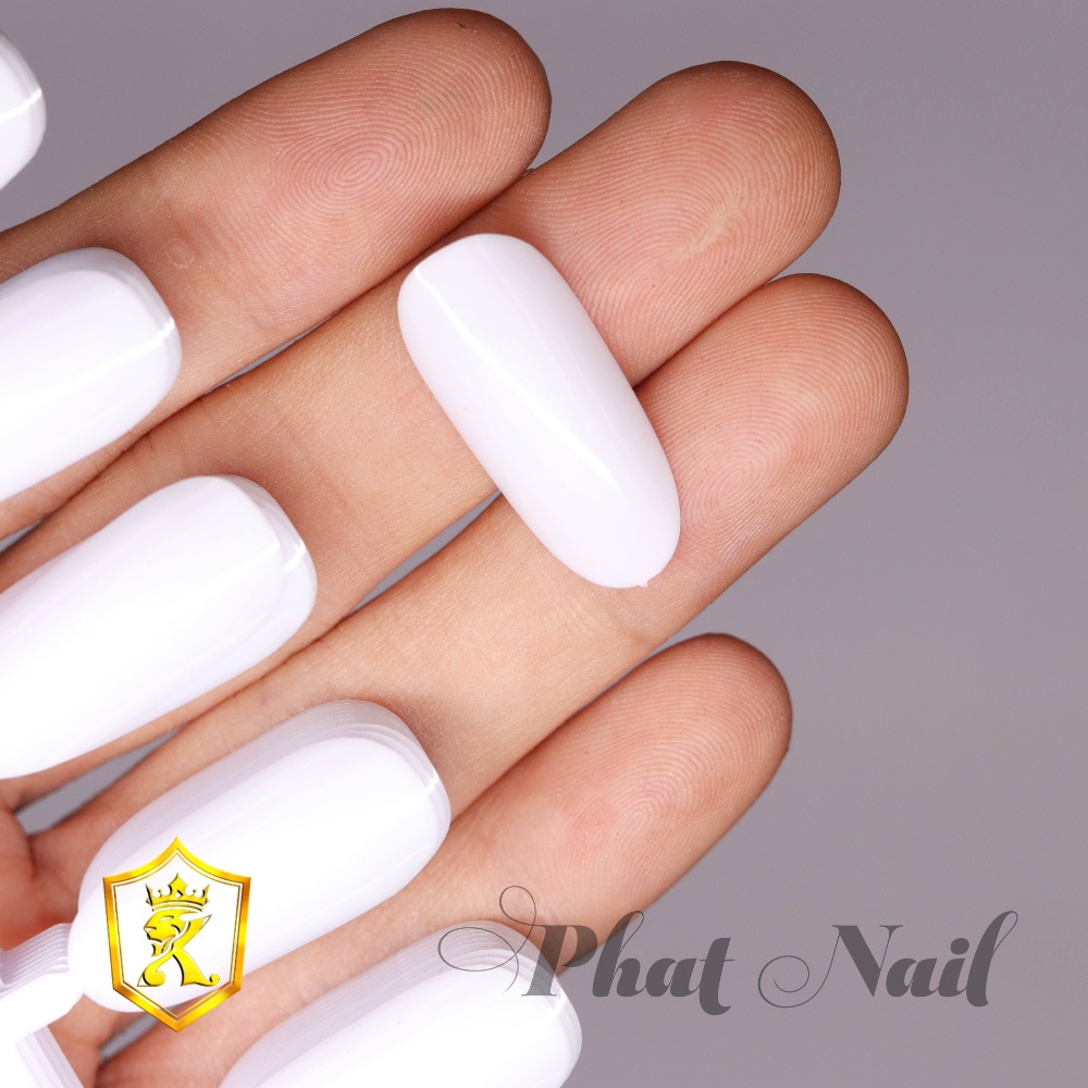 Set 10 vỉ móng vẽ mẫu cho salon