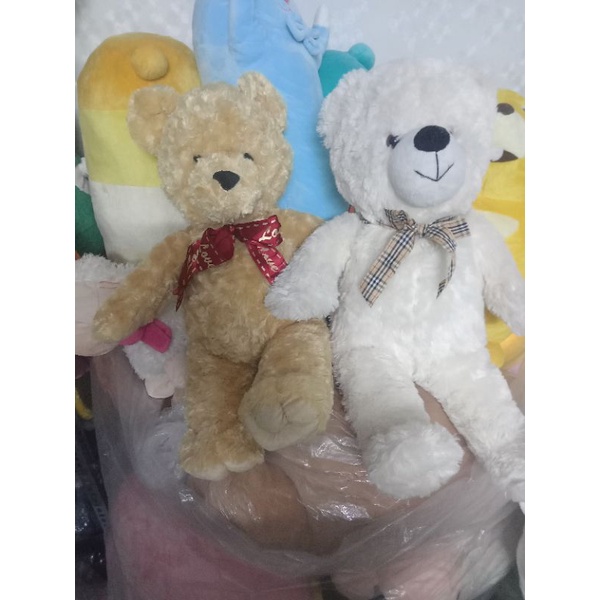 Gấu bông hàng kiện size 40-50cm