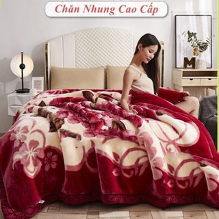 Chăn Nhung Lông Tuyết - Chăn Nhung  Mùa Đông Thành Công,Loại 2kg, 3kg, 4kg, 5kg