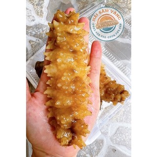 Hải sâm gai vàng khay 500gram