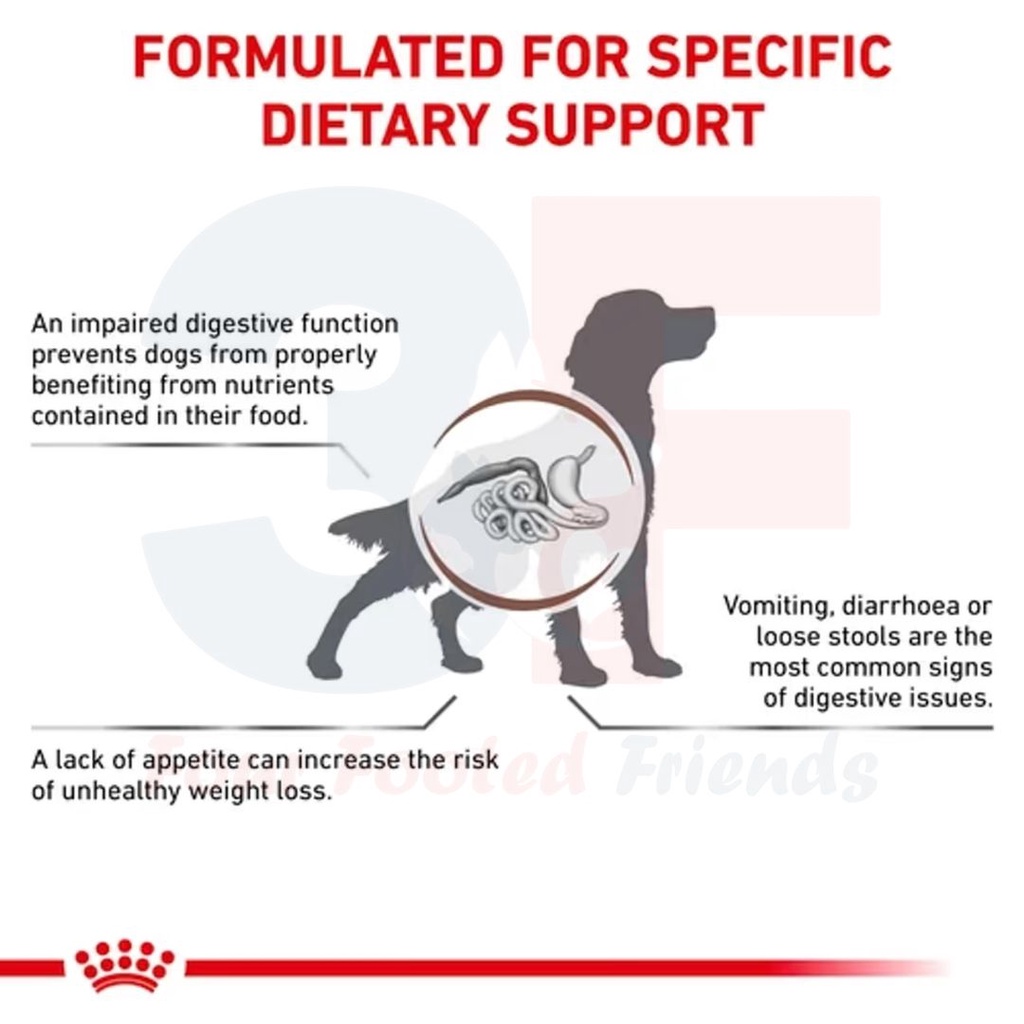 Hạt Hỗ Trợ Hệ Tiêu Hóa Cho Chó Royal Canin Gastrointestinal - Bao 2Kg