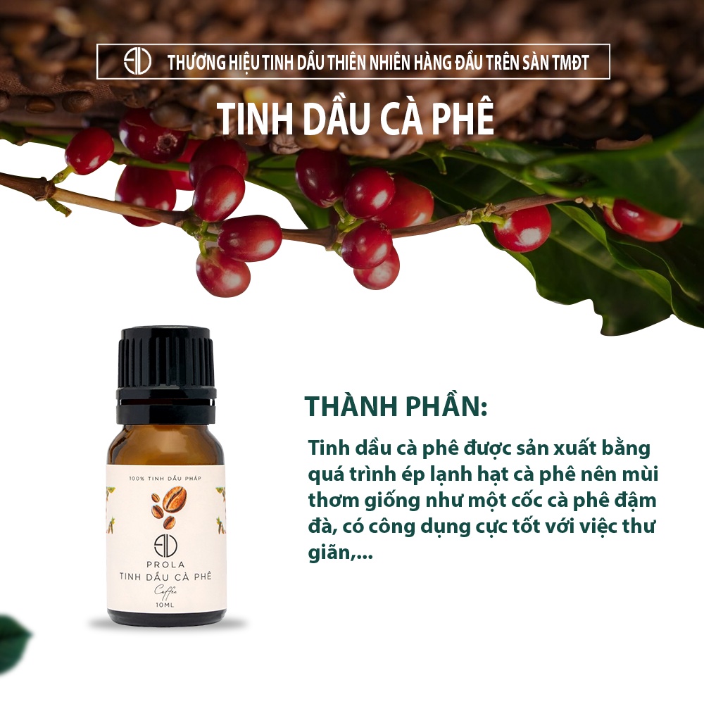 Tinh dầu thiên nhiên Prola Hương Cà Phê Coffee giảm căng thẳng