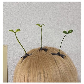 🌱🌱🌱 5 Kẹp tóc mầm cây đáng yêu
