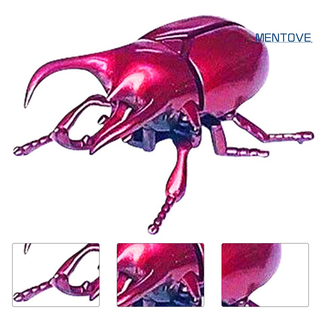 Mô Hình Bọ Cánh Cứng Đồ Chơi Cho Bé