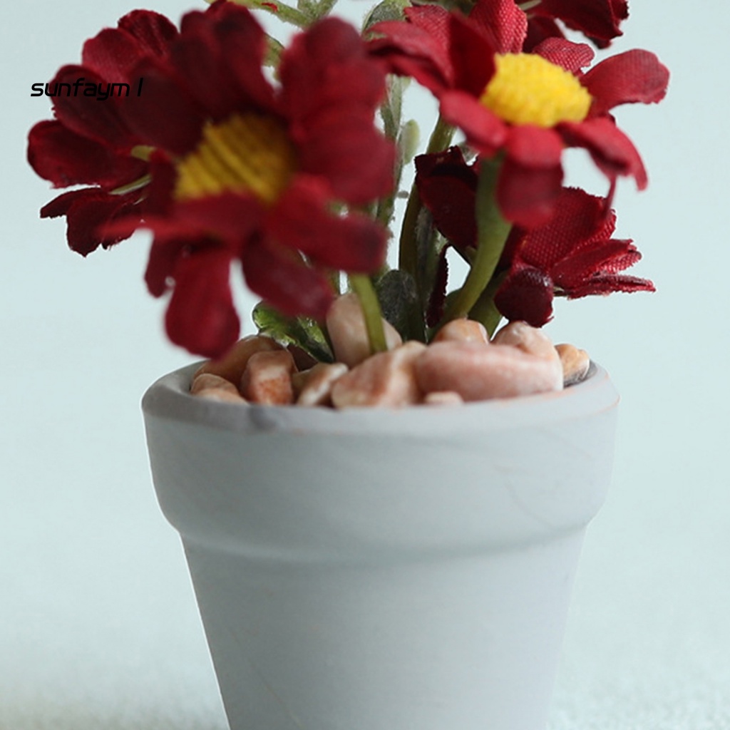 Chậu Cây Cảnh Mini Tỉ Lệ 1: 6 / 1: 8 Dùng Để Trang Trí Nhà Búp Bê