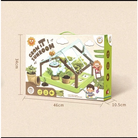 Đồ chơi Trồng cây trong nhà kính mini giúp bé theo dõi sự nảy mầm và phát triển của cây, yêu thiên nhiên hơn