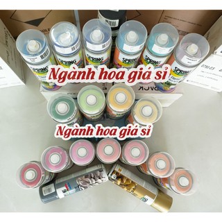 sơn xịt hoa Hà lan
