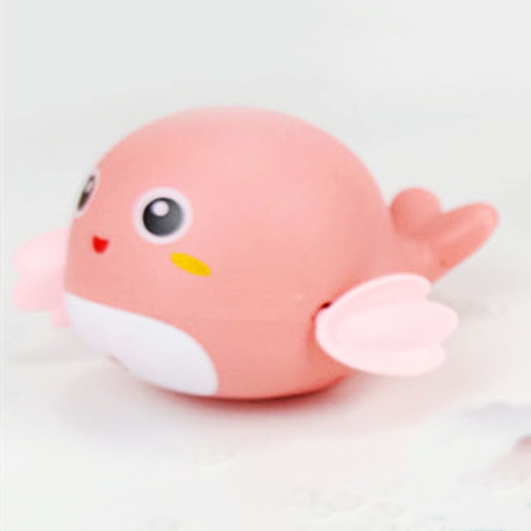 1 Rùa vặn cót bơi trong nước