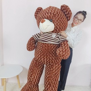 Gấu bông teddy khổ 1m8 lông xoắn,áo len, nhồi bông gòn trắng(cao 1m6)