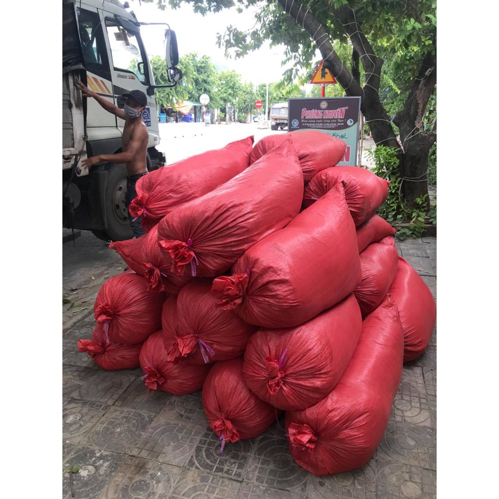 10kg Chili Whole - Ớt khô nguyên trái