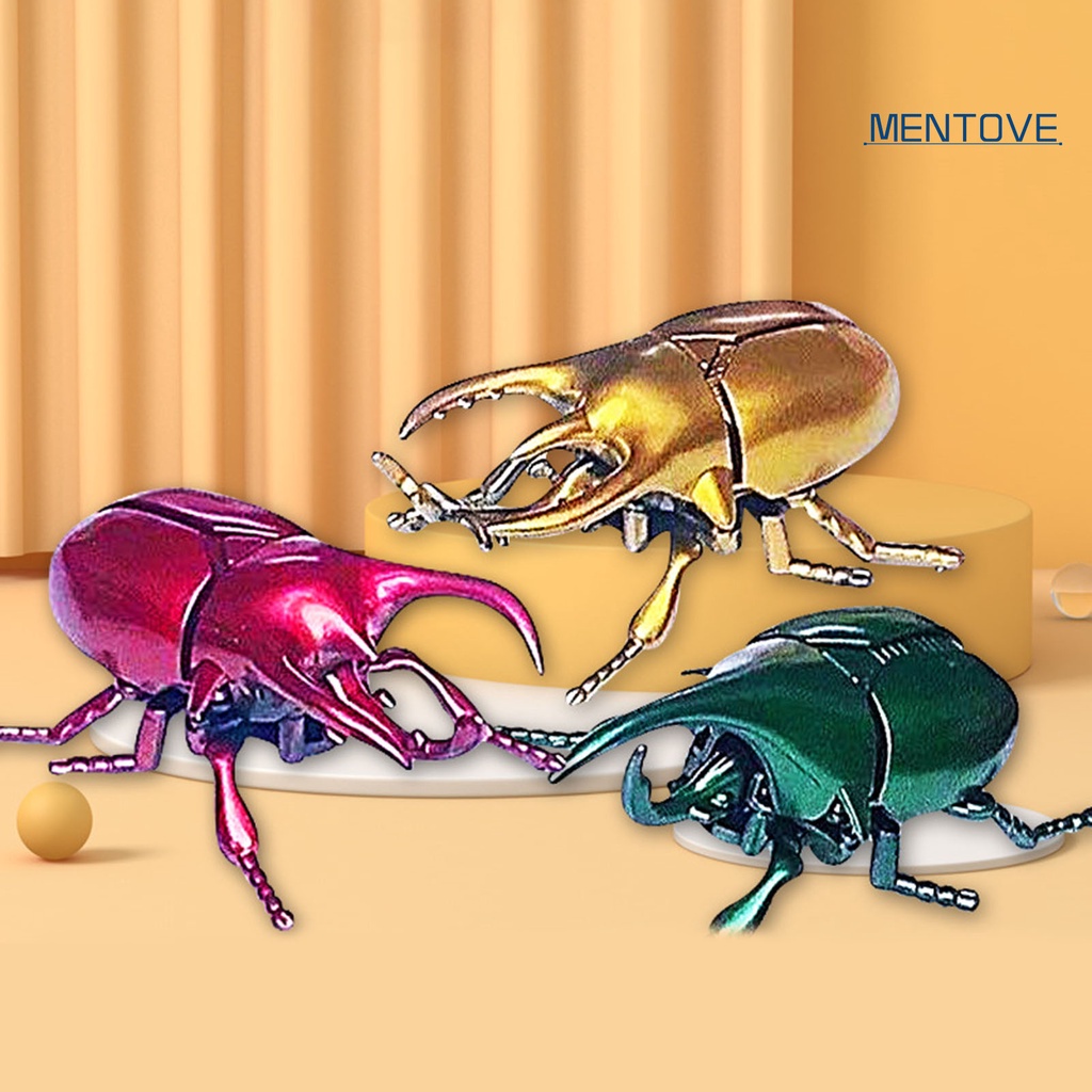 Mô Hình Bọ Cánh Cứng Đồ Chơi Cho Bé