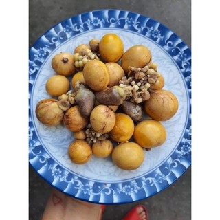 Trứng gà non khay 500gr